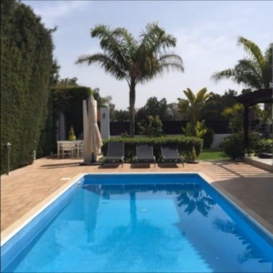 Picture of the private swimming pool and garden area.