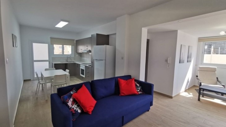 Modern furnished apartment and laminated floor