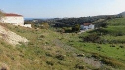 view of residential land landscape with houses nearby