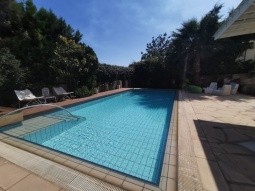 photo of the pool area